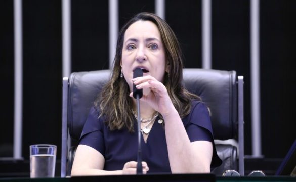 Deputada Rosângela Moro (União-SP) fala no Plenário da Câmara dos Deputados